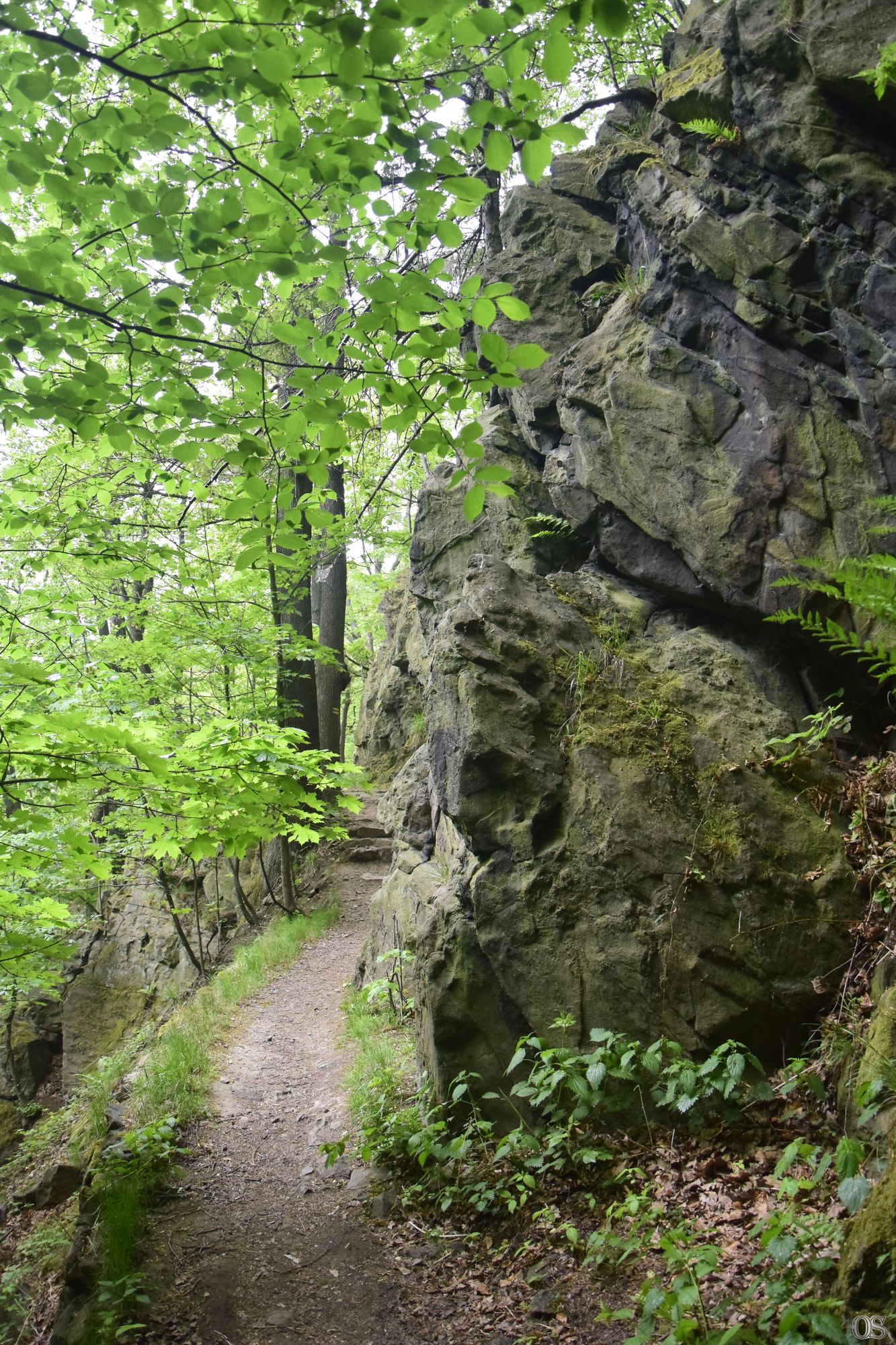 Sciezka Hochbergow 62.jpg